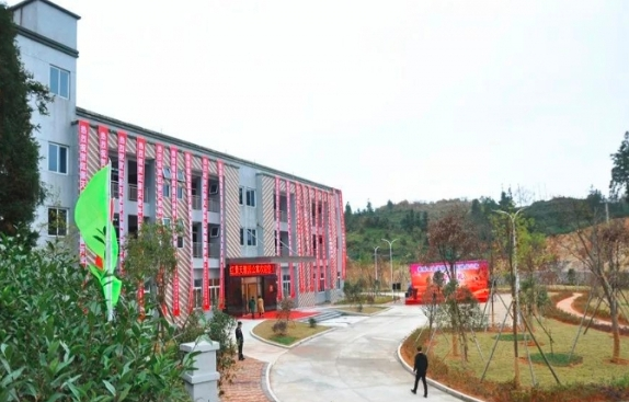 社区居家养老问题新闻封面