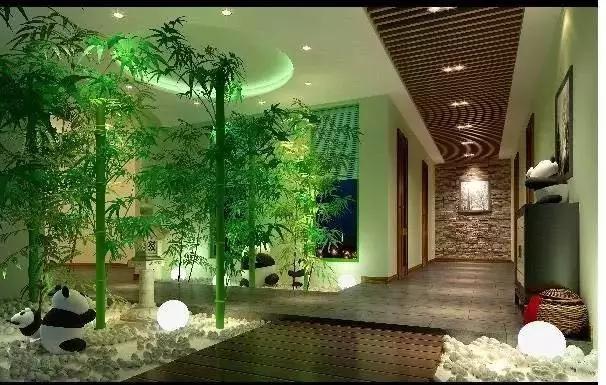 资深护理主任教你用最低预算选到优质养老院新闻封面