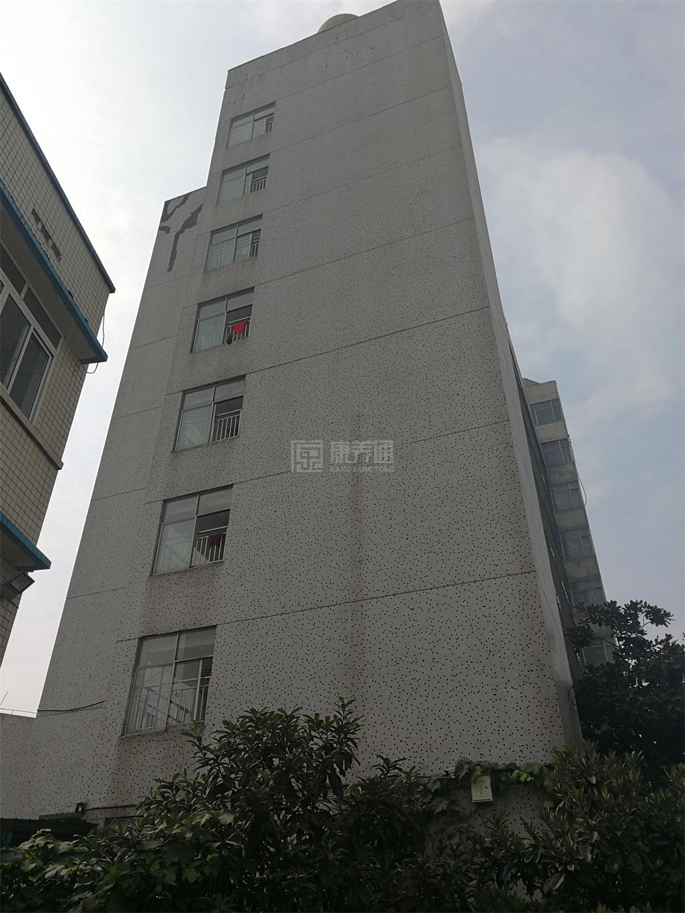 重庆市九龙坡区金渝来老年公寓关于我们-轮播图2