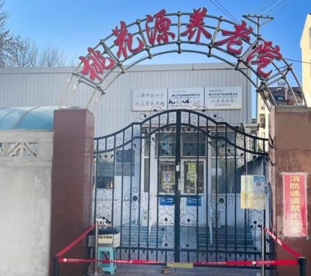 桃花源四新道院机构封面