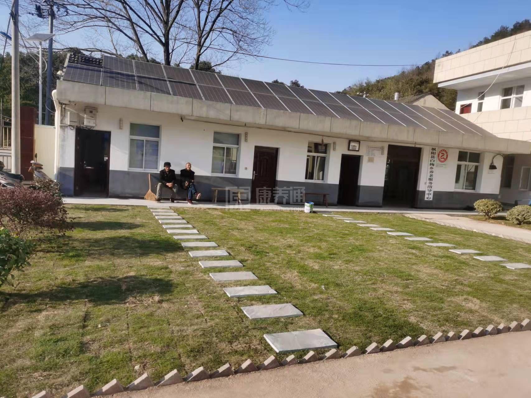 枞阳县白梅乡中心敬老院服务项目图3惬意的环境、感受岁月静好