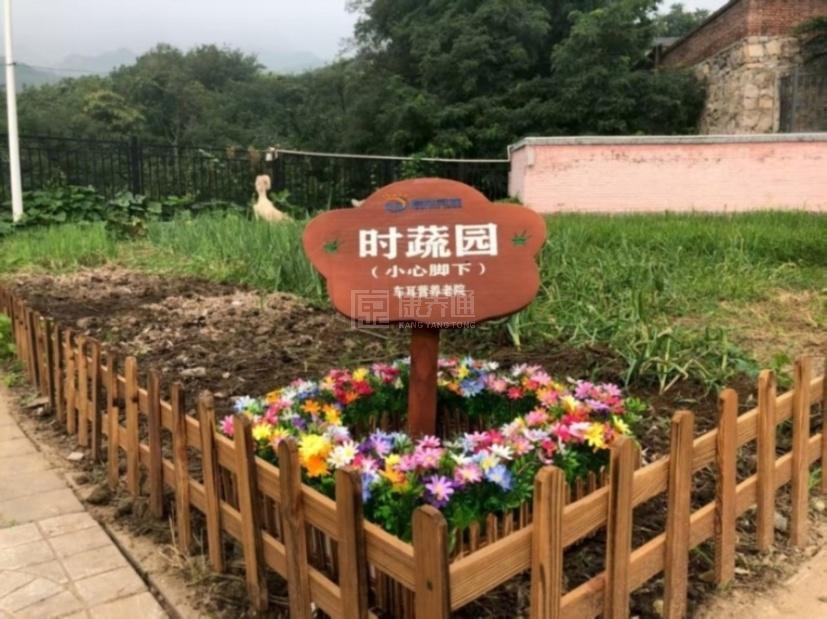 北京市海淀区车耳营养老院关于我们-轮播图1