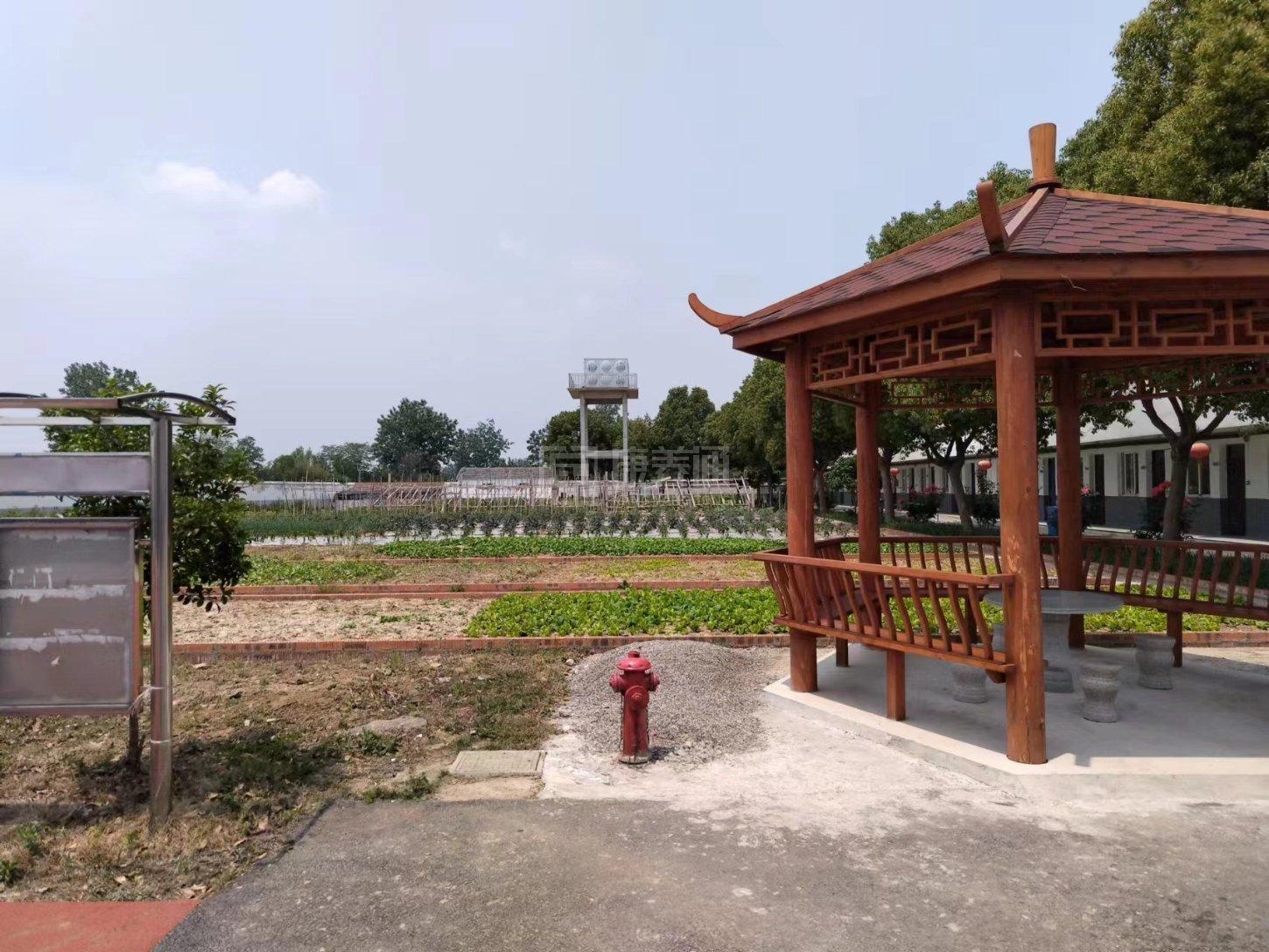 天长市汊涧镇养老服务中心环境图-洗手间