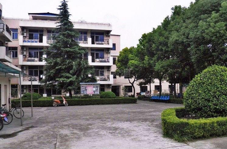 上海闵行区吴泾镇敬老院服务项目图2亦动亦静、亦新亦旧