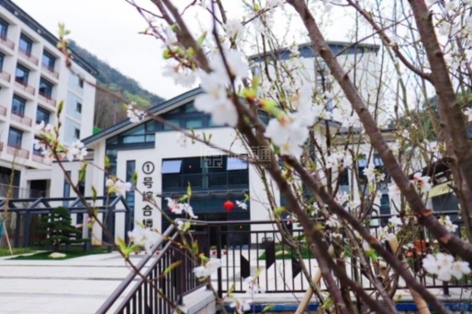 中天绿城康养大爱天下医养中心环境图-美丽景色