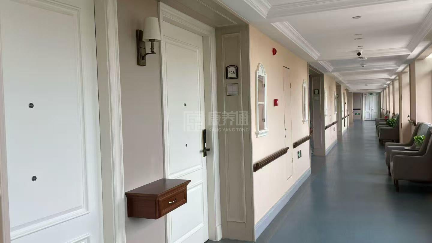 中天绿城康养大爱天下医养中心环境图-走廊设施