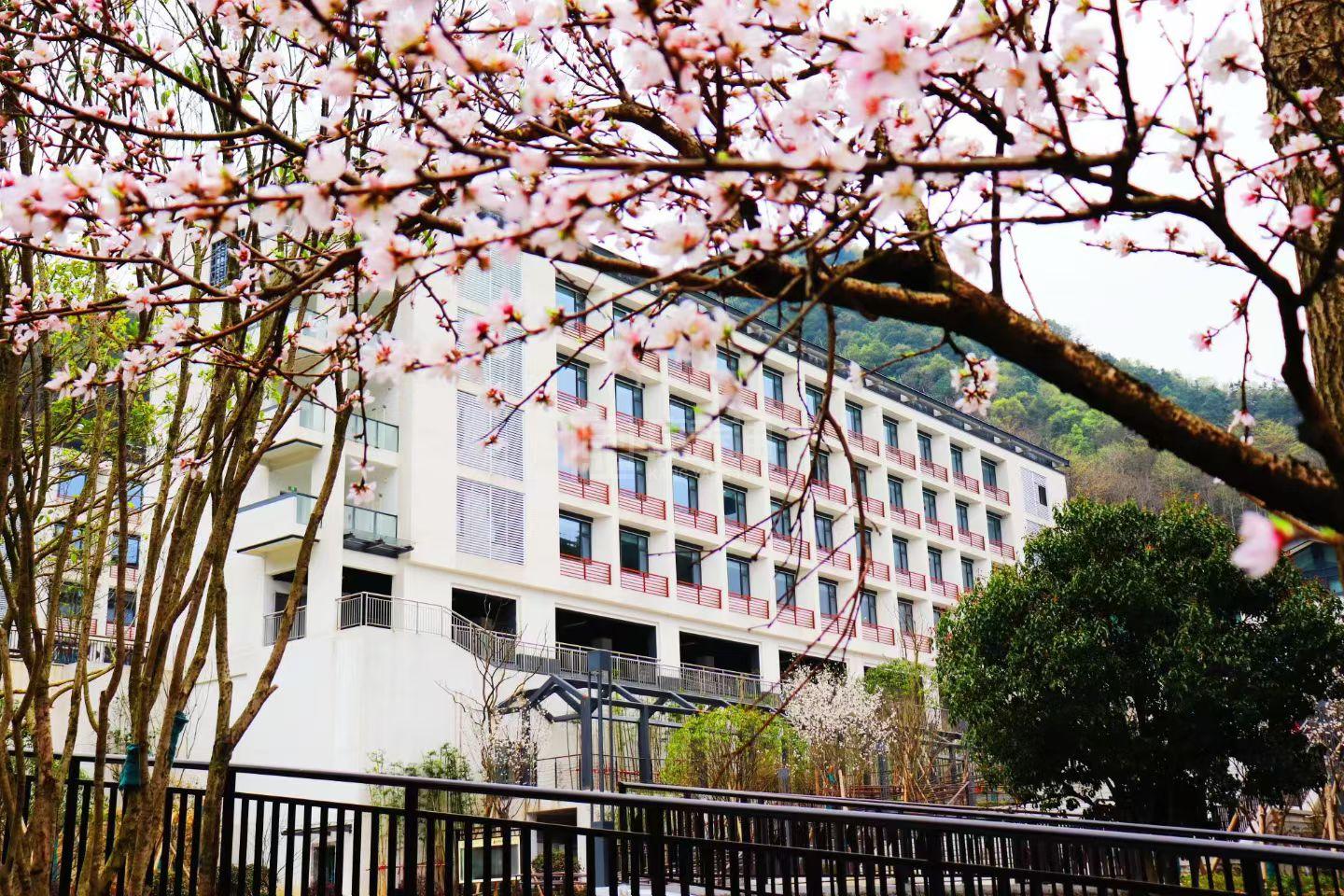 中天绿城康养大爱天下医养中心轮播图1