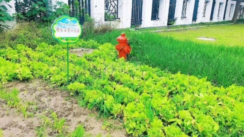 太仓市净慧康年护理院环境图-休闲区域