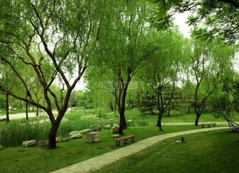 北京市丰台区皓春里老年公寓环境图-园林