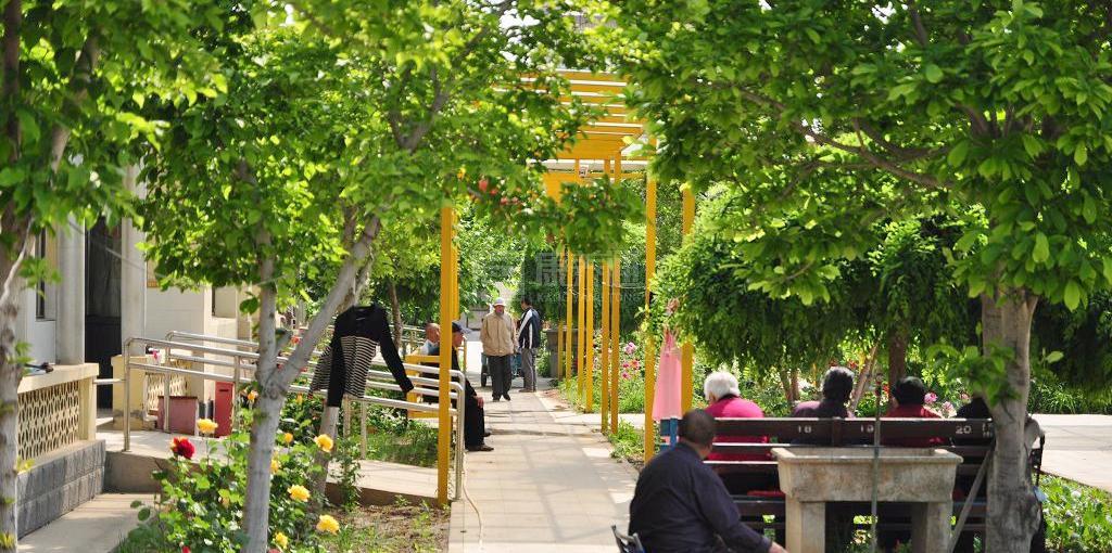 北京市平谷区东高村镇敬老院环境图-餐台