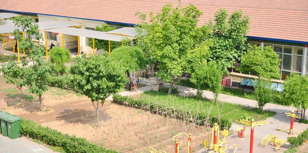 北京市平谷区东高村镇敬老院服务项目图1健康安全、营养均衡、味美可口