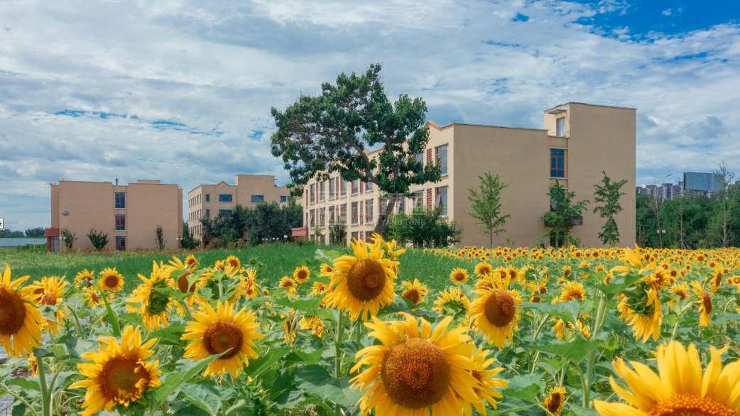 北京市朝阳区缘爱康宸养老院环境图-四季花海