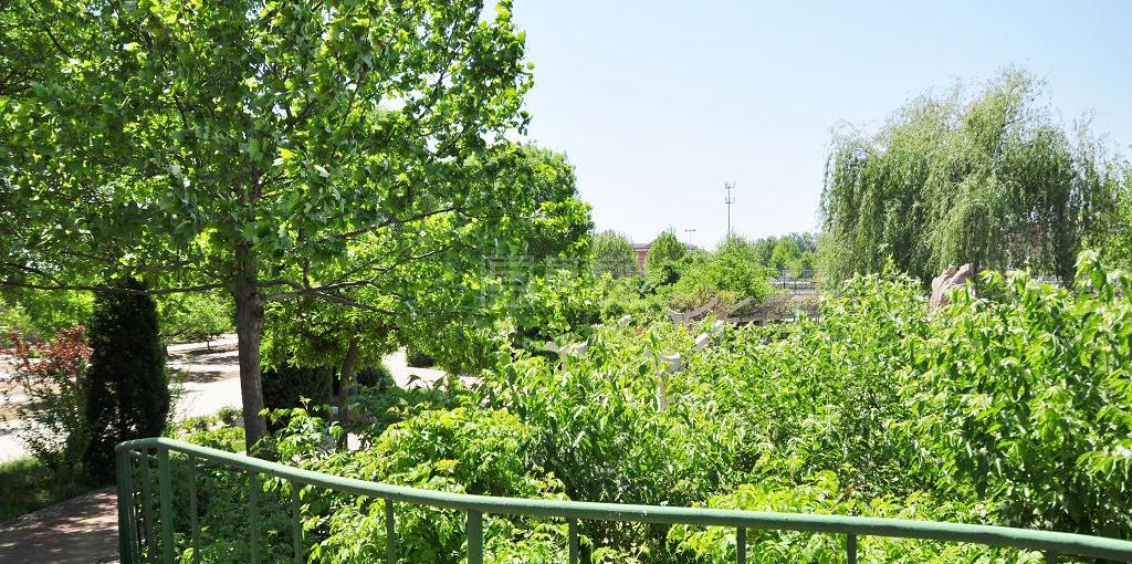 北京市大兴区颐乐养老院环境图-阳台