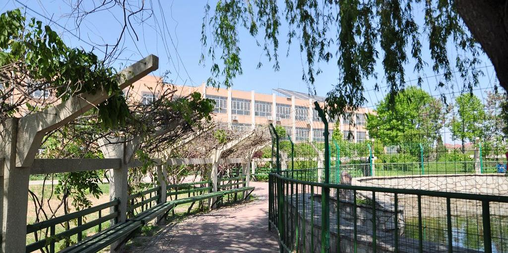 北京市大兴区颐乐养老院服务项目图3惬意的环境、感受岁月静好