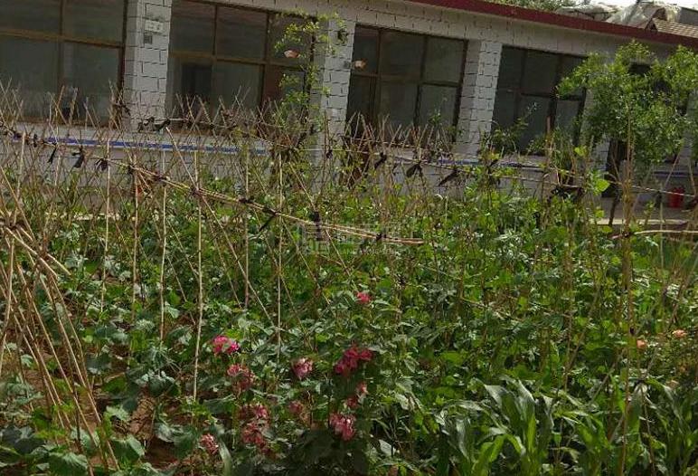 密云不老屯村幸福晚年驿站轮播图1