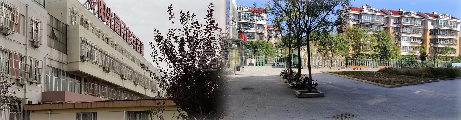 天津市滨海新区塘沽阳光富民老年公寓轮播图1