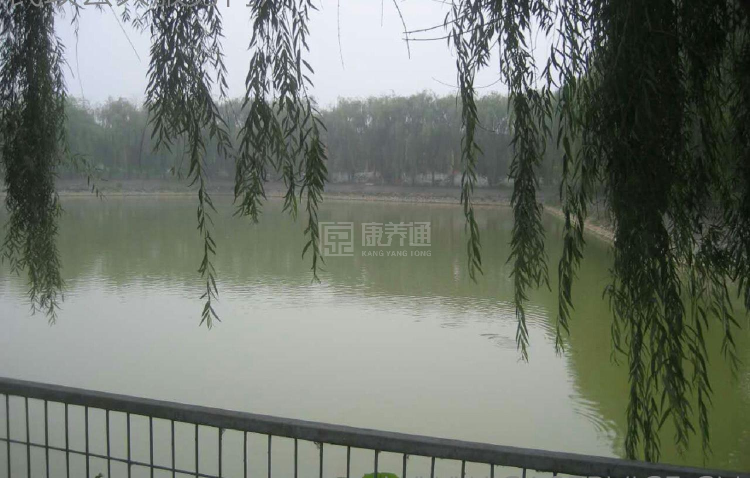 北京市朝阳区金盏乡老年公寓环境图-休息区