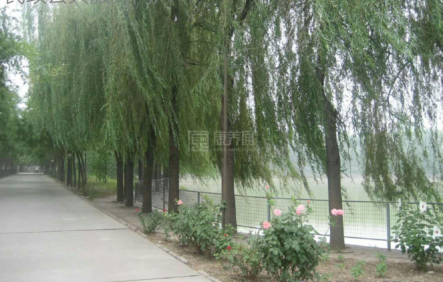 北京市朝阳区金盏乡老年公寓服务项目图3惬意的环境、感受岁月静好