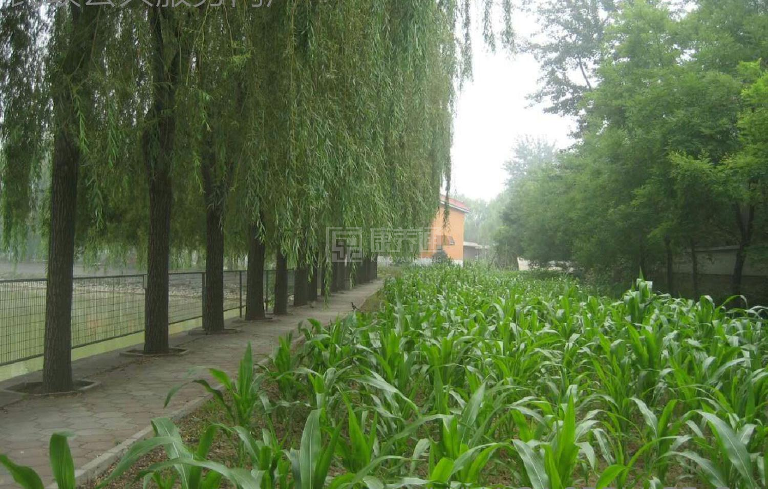 北京市朝阳区金盏乡老年公寓服务项目图2亦动亦静、亦新亦旧