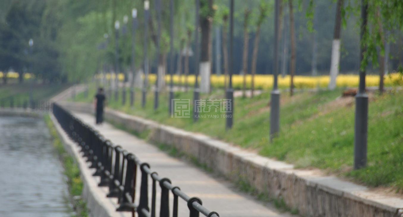 北京市延庆区光荣院服务项目图2亦动亦静、亦新亦旧