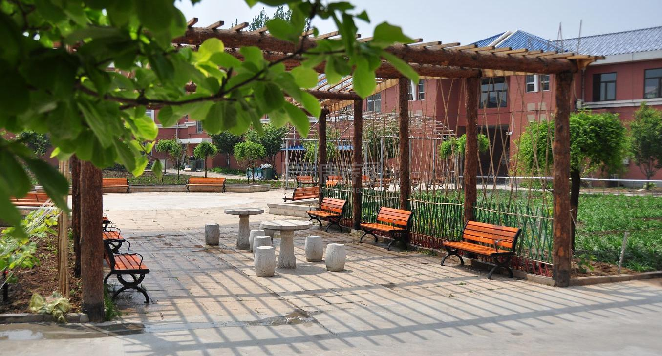 北京市延庆区光荣院服务项目图3惬意的环境、感受岁月静好