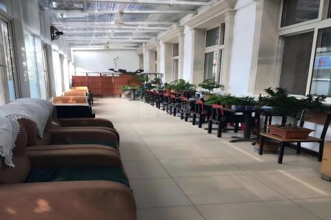 河北区丹江里养老院服务项目图3惬意的环境、感受岁月静好