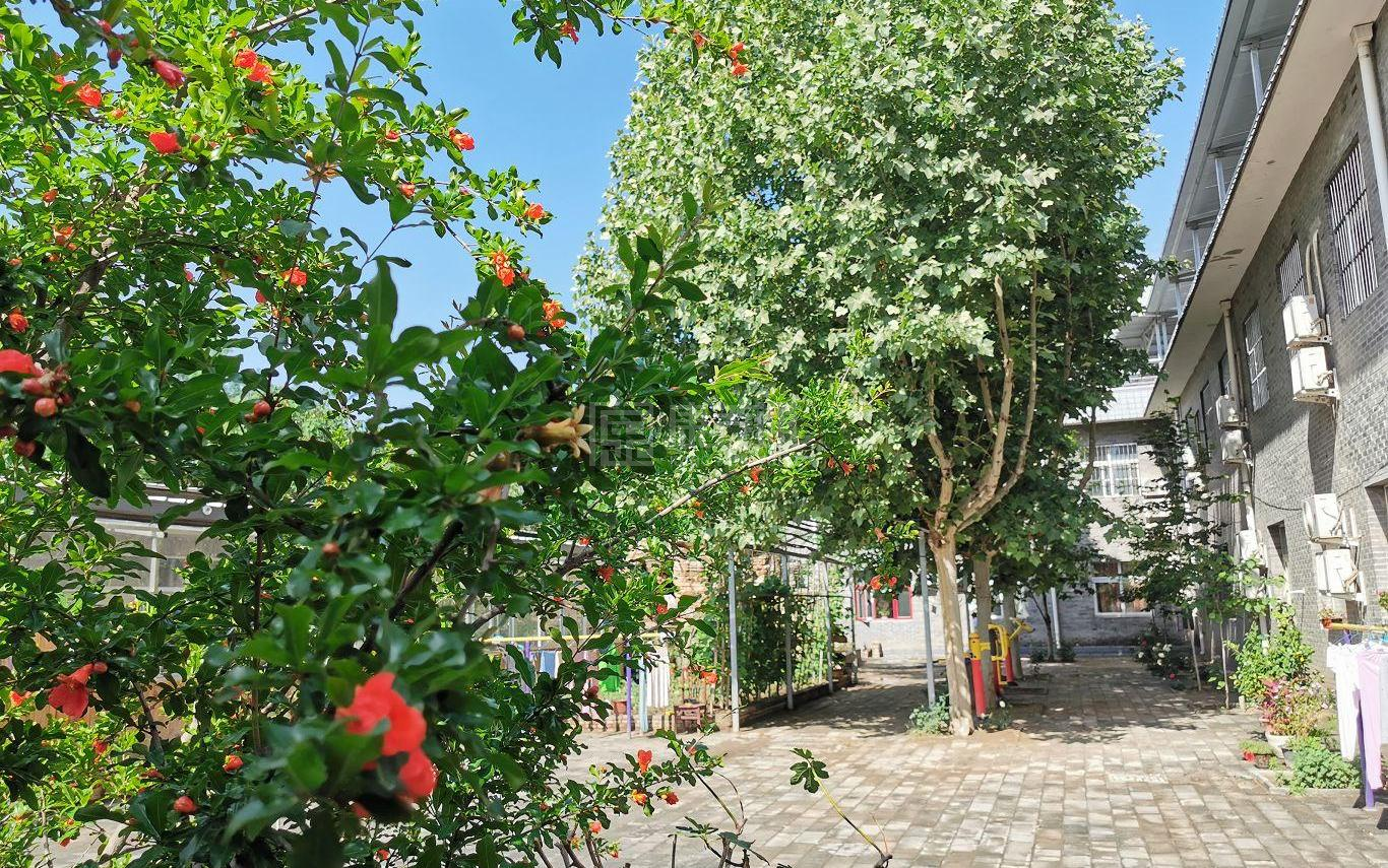 北京市海淀区双缘敬老院环境图-餐台