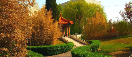 北京市顺义区第一社会福利院机构封面