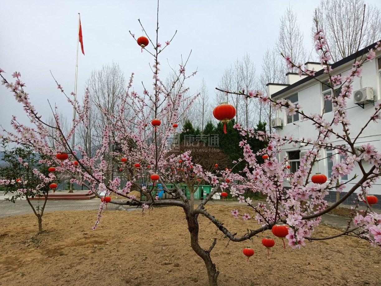 乌石镇敬老院关于我们-轮播图2