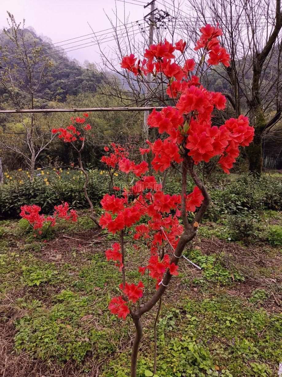 乌石镇敬老院轮播图2