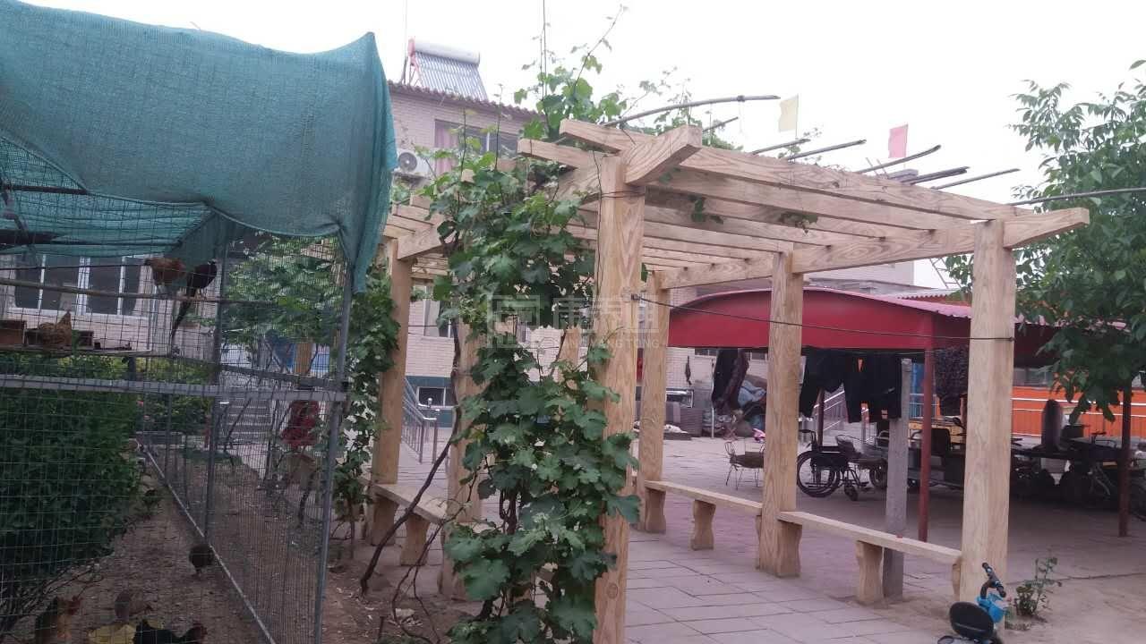 保定市莲池区怡康养老院服务项目图1健康安全、营养均衡、味美可口