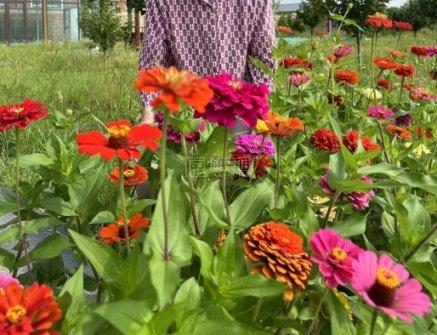 康盛养老公寓服务项目图5风景宜人