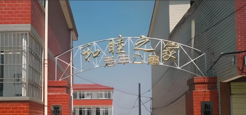 老年人多样化服务需求新闻封面