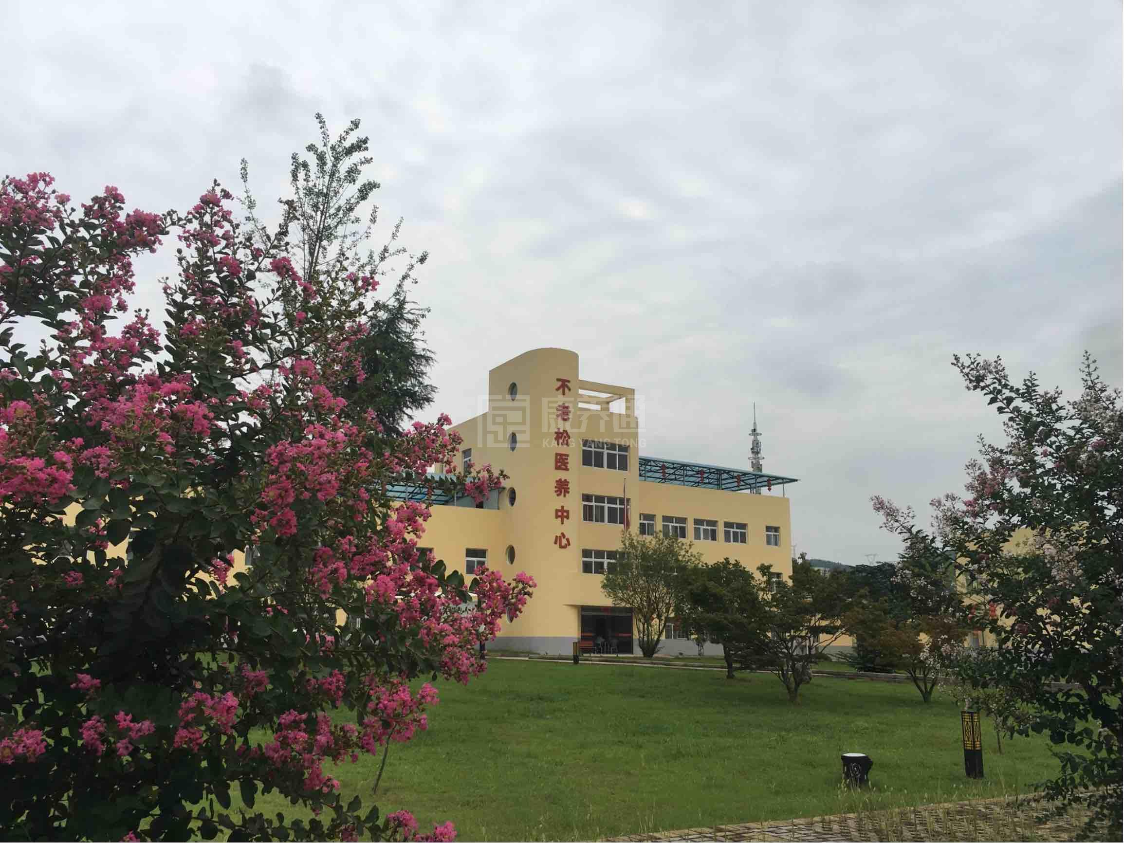 芜湖市繁昌区不老松医养老中心环境图-走廊