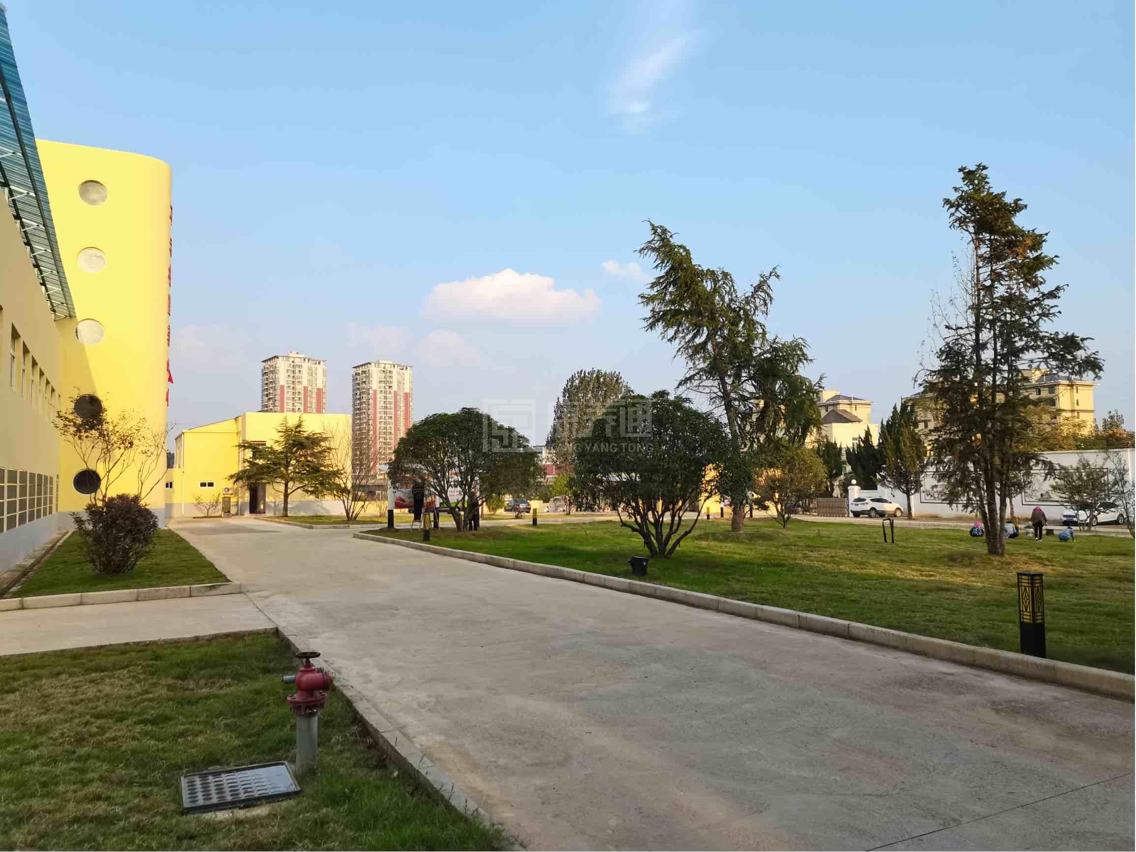 芜湖市繁昌区不老松医养老中心轮播图2