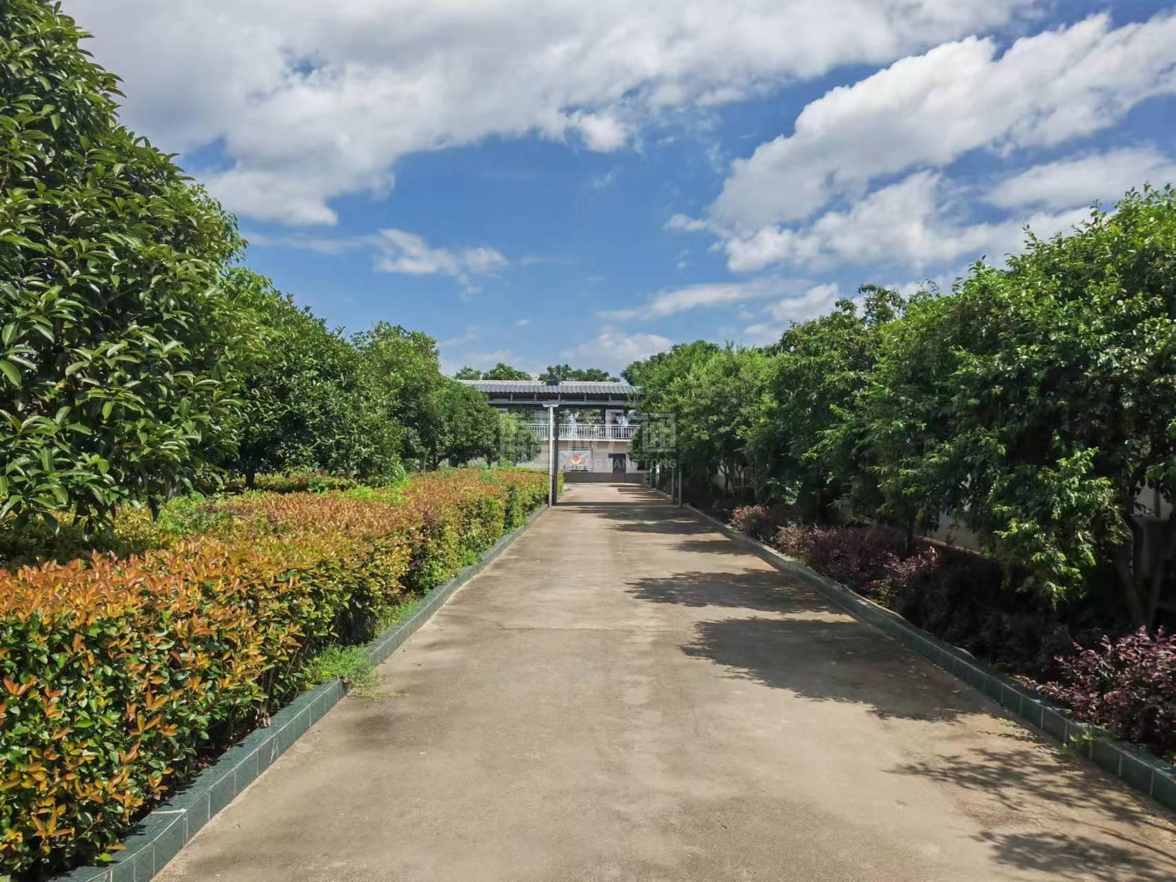 永兴县孝为先养老院环境图-餐台