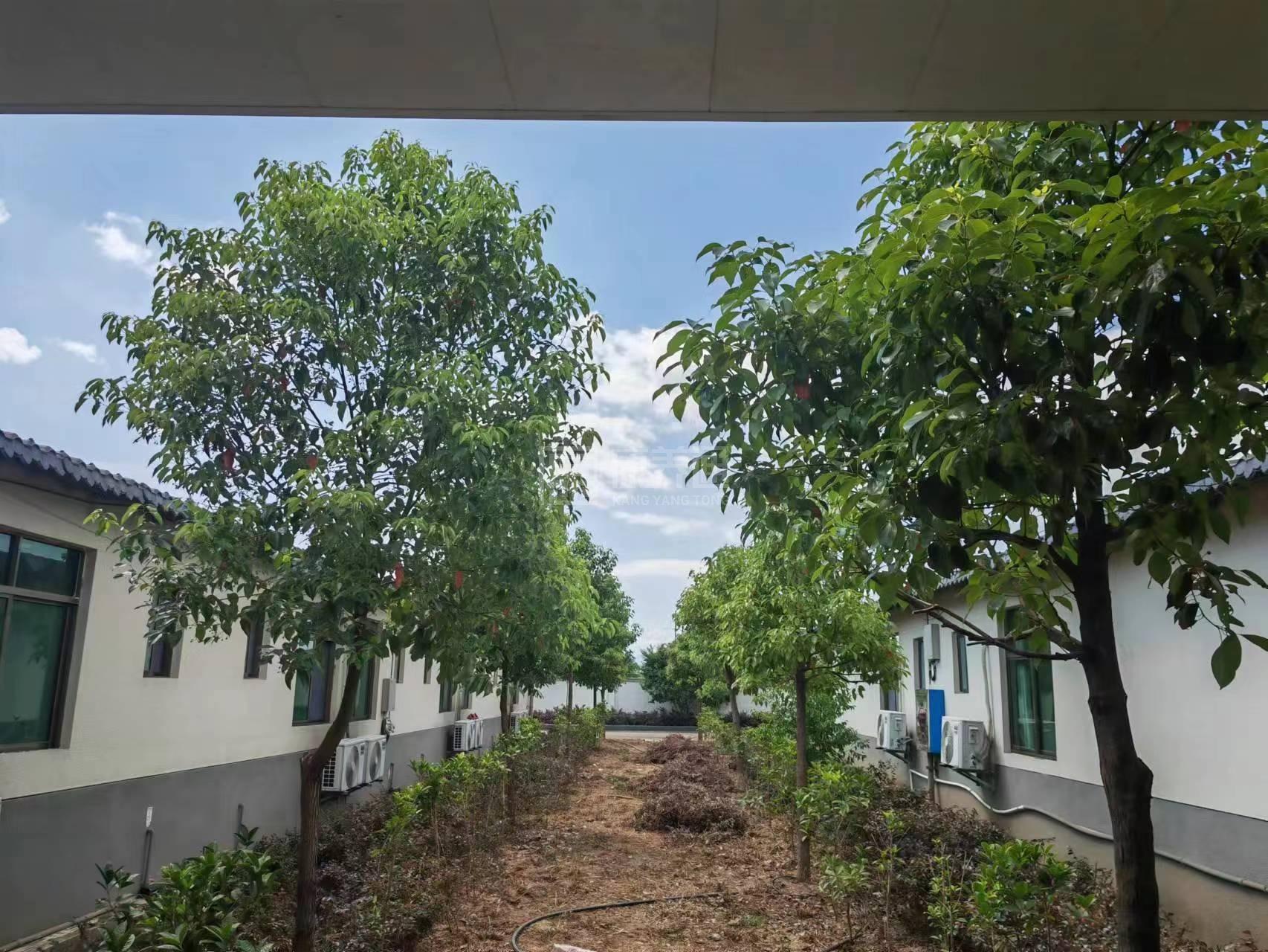 永兴县孝为先养老院服务项目图2亦动亦静、亦新亦旧