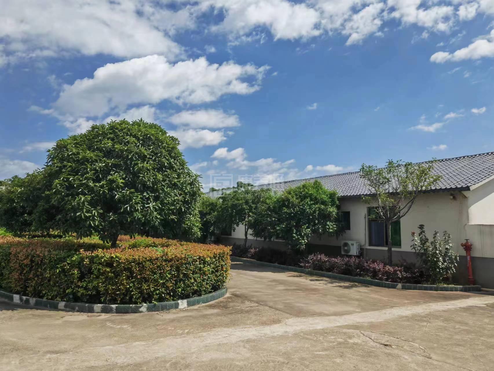 永兴县孝为先养老院服务项目图1健康安全、营养均衡、味美可口