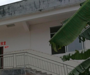 老年文化服务的评价指标新闻封面