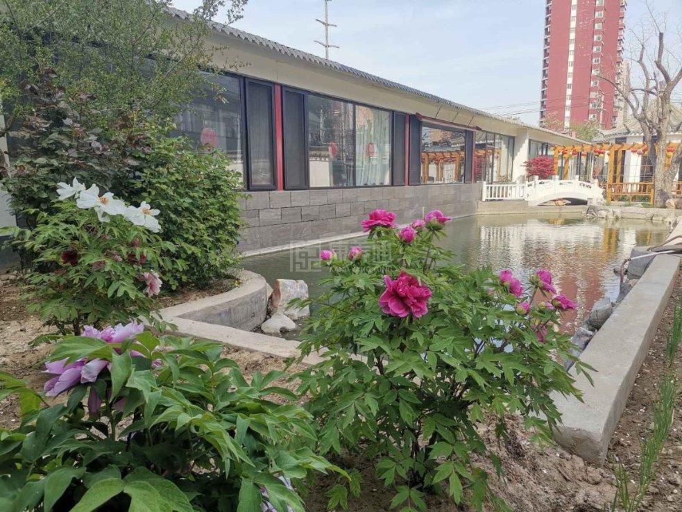 保定市善孝居养老服务有限公司环境图-庭院