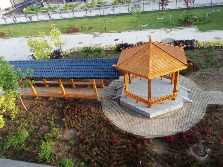 研发适合老年人的健康食品新闻封面