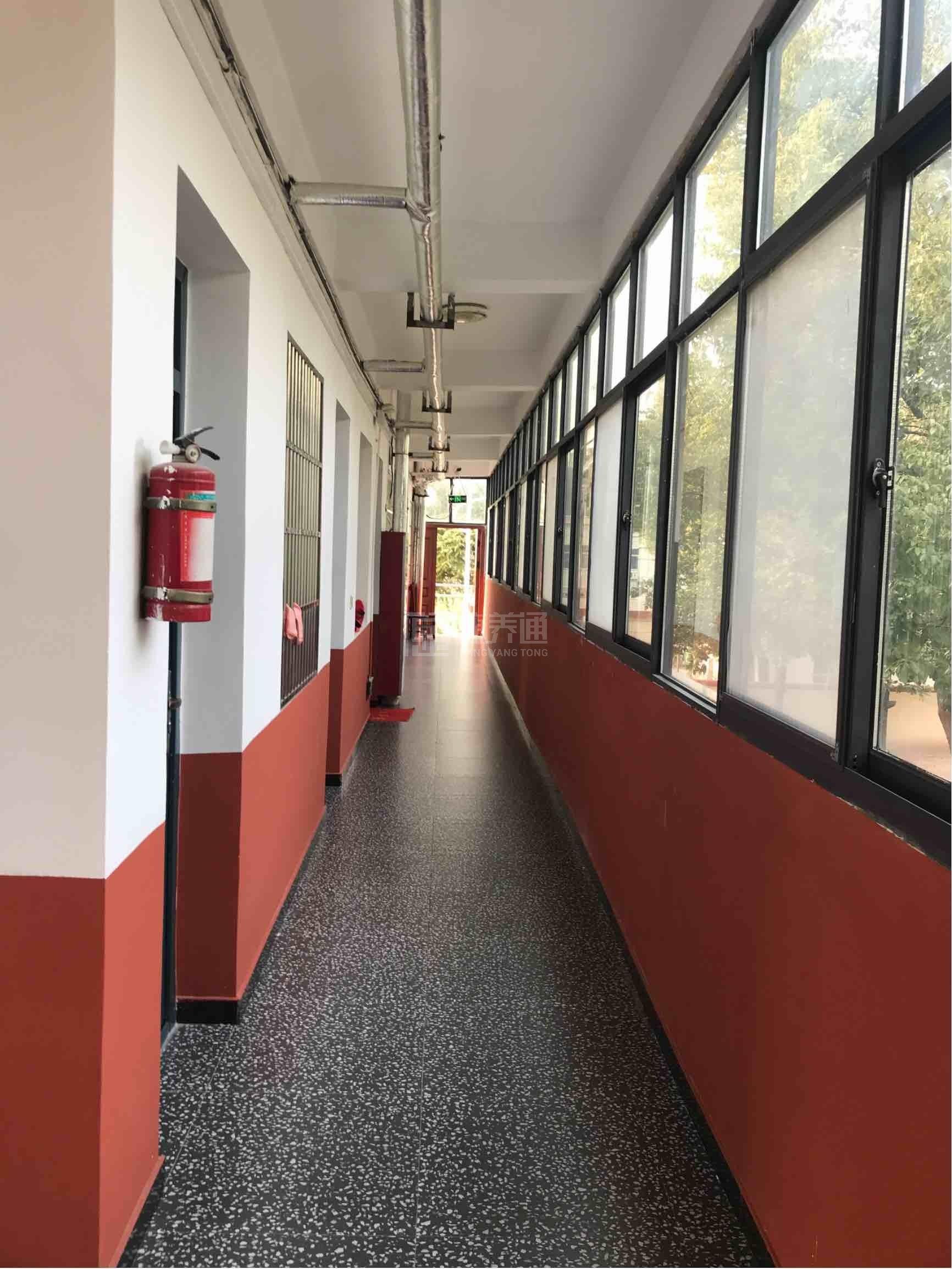 枞阳县雨坛镇中心敬老院服务项目图2亦动亦静、亦新亦旧