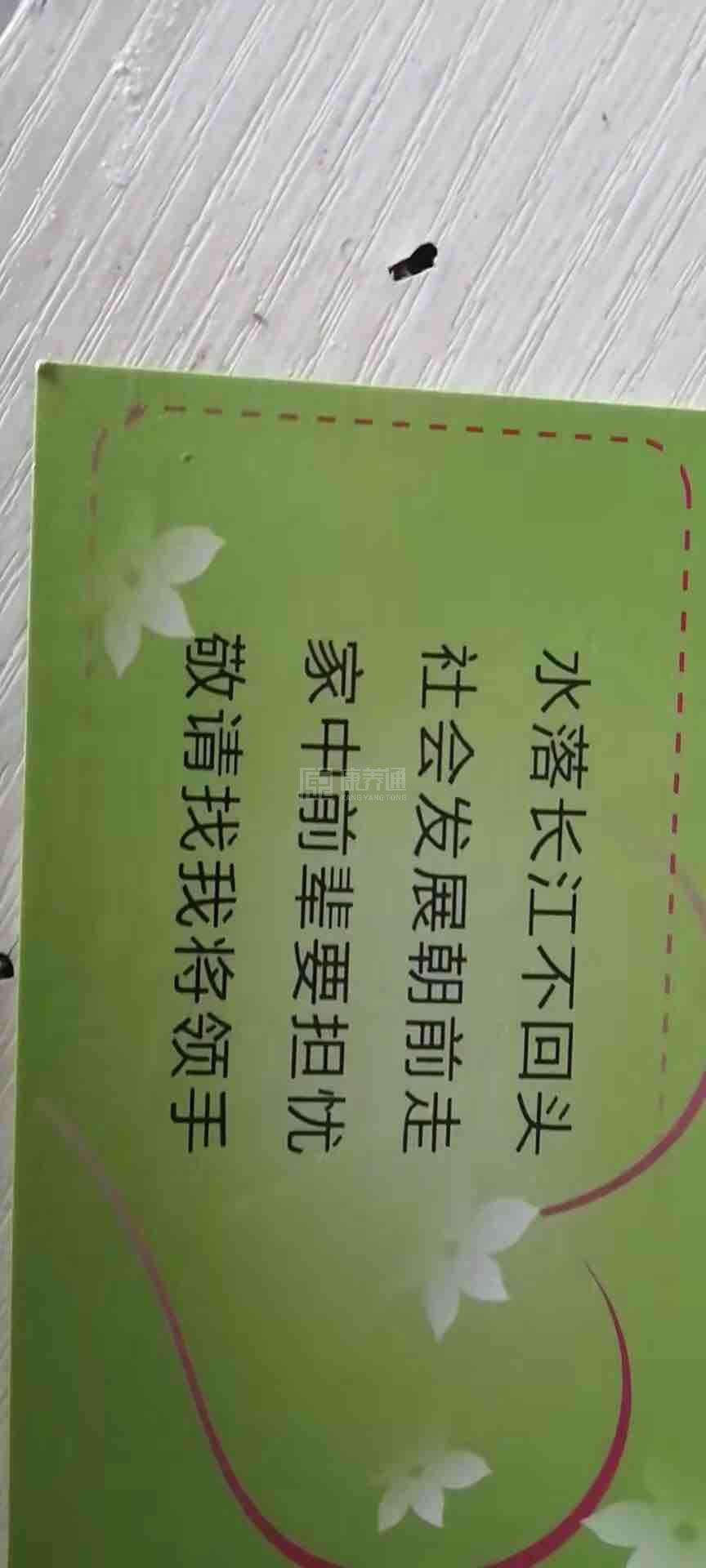 全椒县家乐养老服务院服务项目图3惬意的环境、感受岁月静好