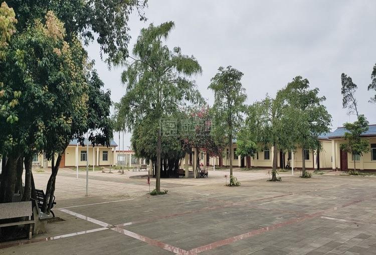 海口市琼山区三门坡敬老院服务项目图3惬意的环境、感受岁月静好