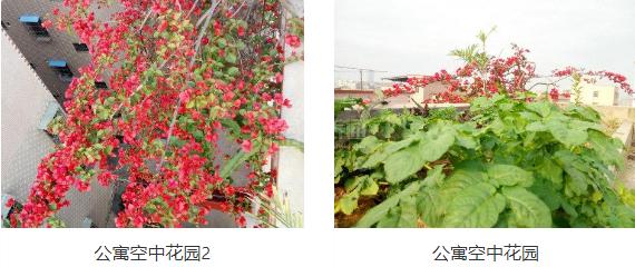 惠州市惠城区长乐居老年公寓关于我们-轮播图1