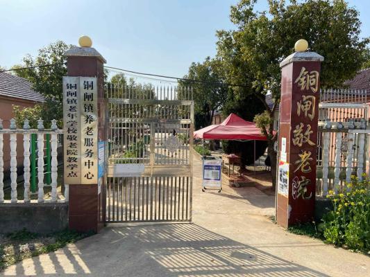含山县铜闸镇养老服务中心机构封面