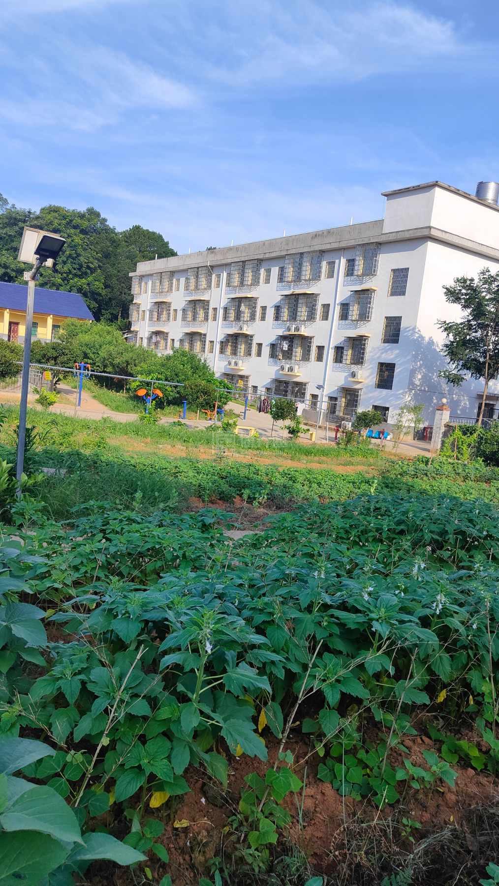 益阳市赫山区奎星老年公寓服务项目图2亦动亦静、亦新亦旧