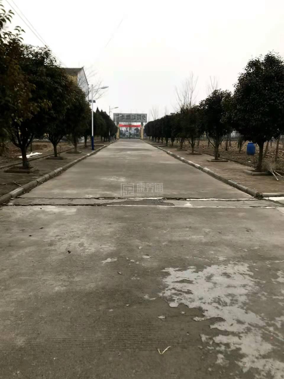 萧县王寨镇吴河涯养老服务中心环境图-床位