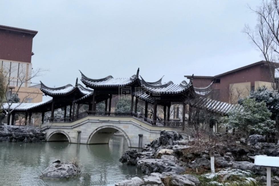 国寿嘉园苏州雅境环境图-雪韵园林