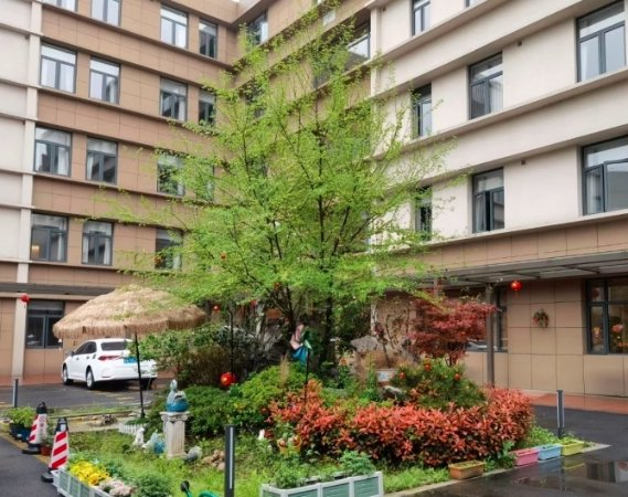 养老服务如何因地制宜新闻封面